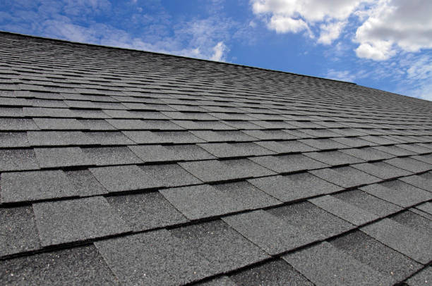 Best Cold Roofs  in Edgewood, KY